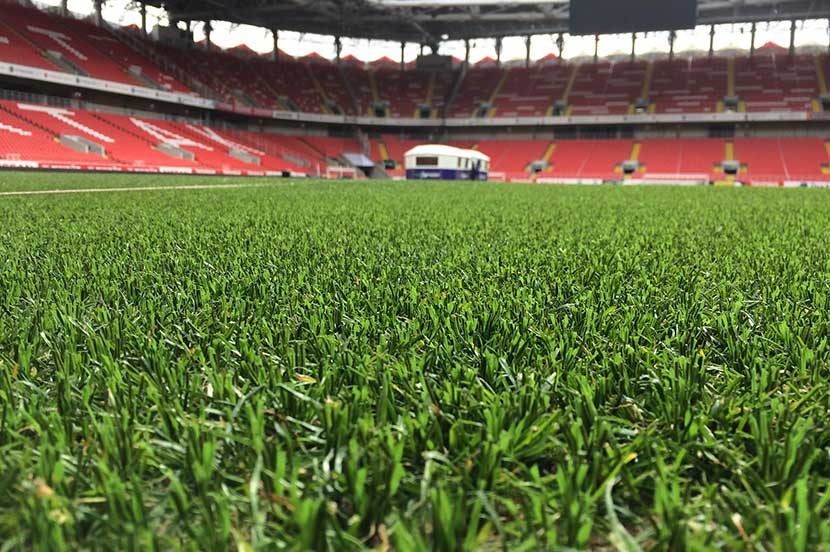 Jenis Rumput Buatan Untuk Lapangan Sepak Bola