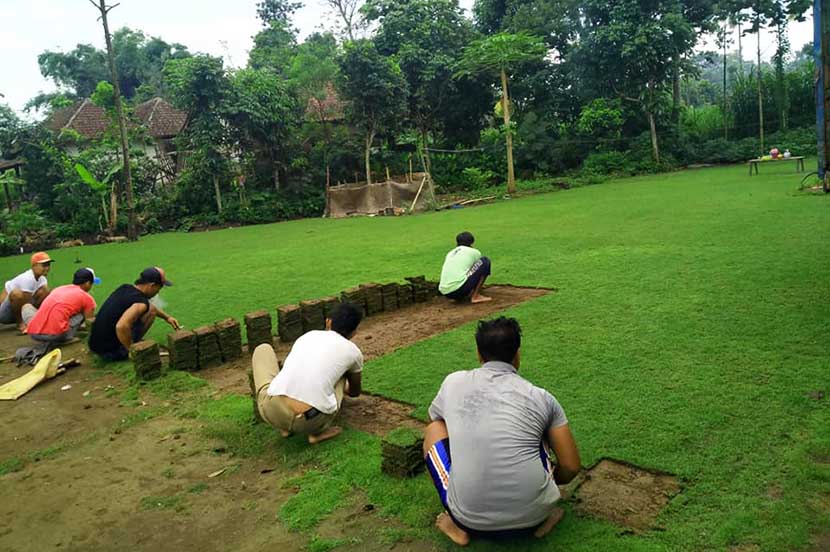 7 Jenis Rumput Taman untuk Rumah Minimalis
