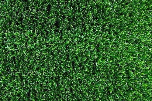 Jenis Rumput Buatan Untuk Lapangan Sepak Bola