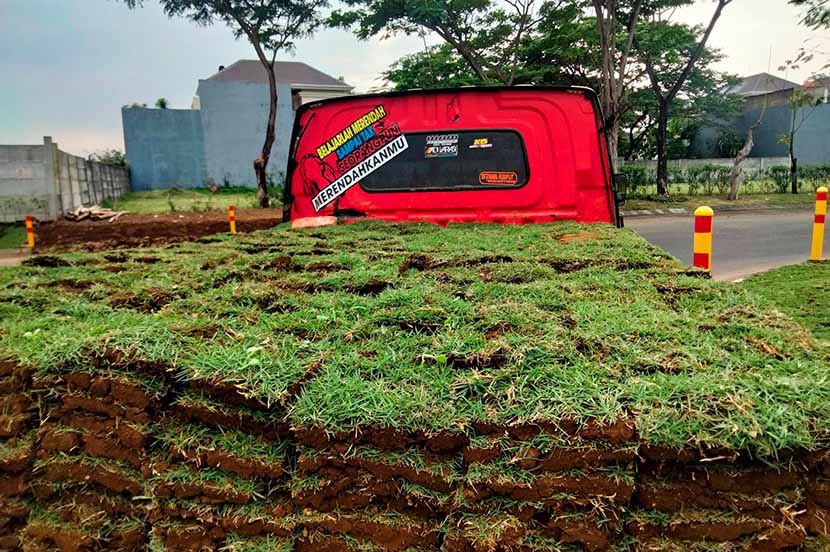 Harga Rumput Taman per Meter Persegi 2026