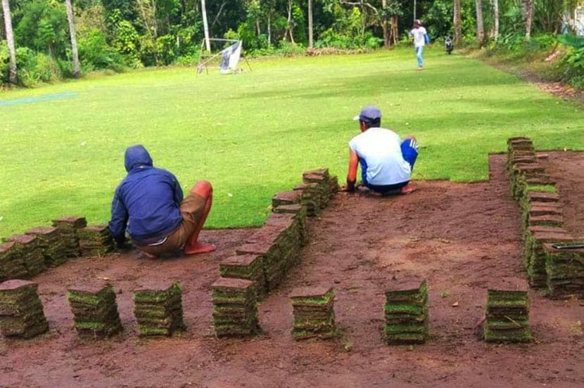 Jual Rumput Jepang Surabaya Murah Terbaik #1