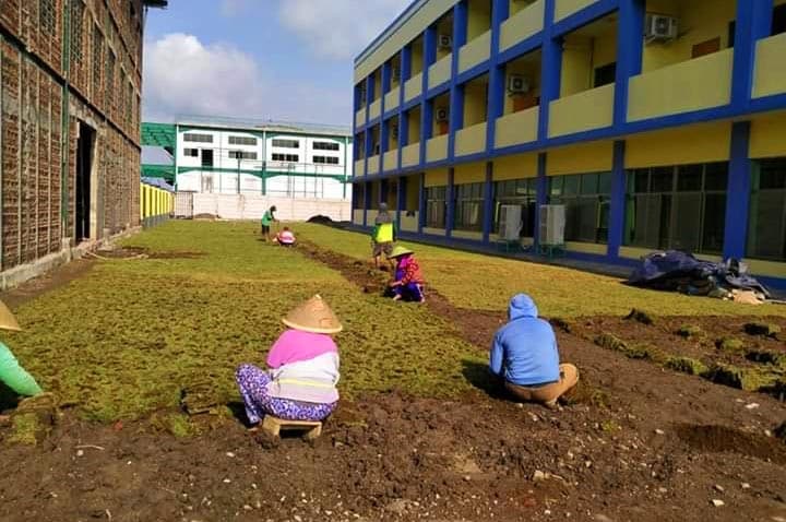 Jasa Tanam Rumput Jepang Nganjuk