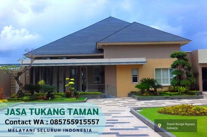 Harga Jasa Tanam Rumput Jepang Genting Kalianak Surabaya Per M2 Murah