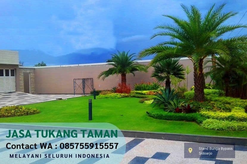 Harga Jasa Tanam Rumput Jepang Genting Kalianak Surabaya Per M2 Murah