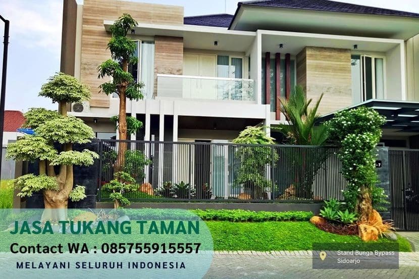 Harga Jasa Tanam Rumput Jepang Genting Kalianak Surabaya Per M2 Murah