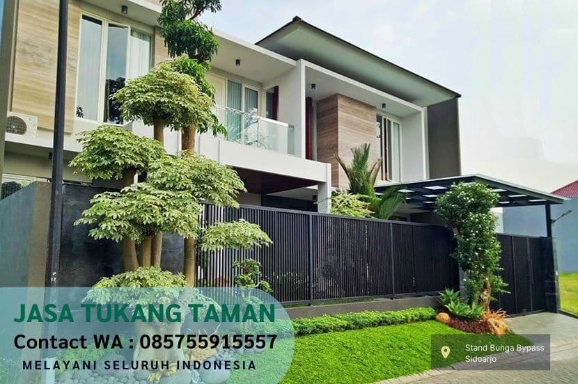 Harga Jasa Tanam Rumput Jepang Genting Kalianak Surabaya Per M2 Murah
