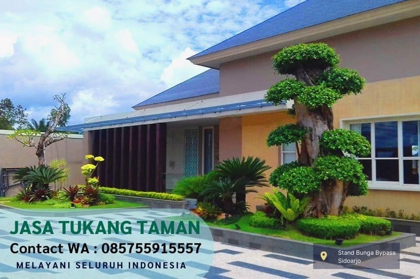 Harga Jasa Tanam Rumput Jepang Genting Kalianak Surabaya Per M2 Murah
